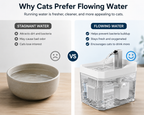 Smart Cat Water Fountain with Filter