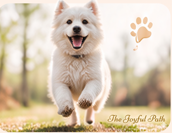 Happy Pet